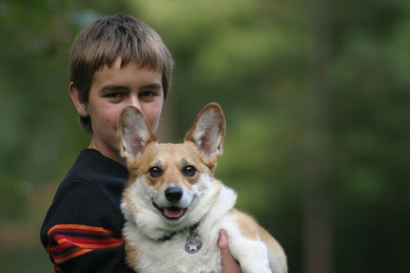 child with dog