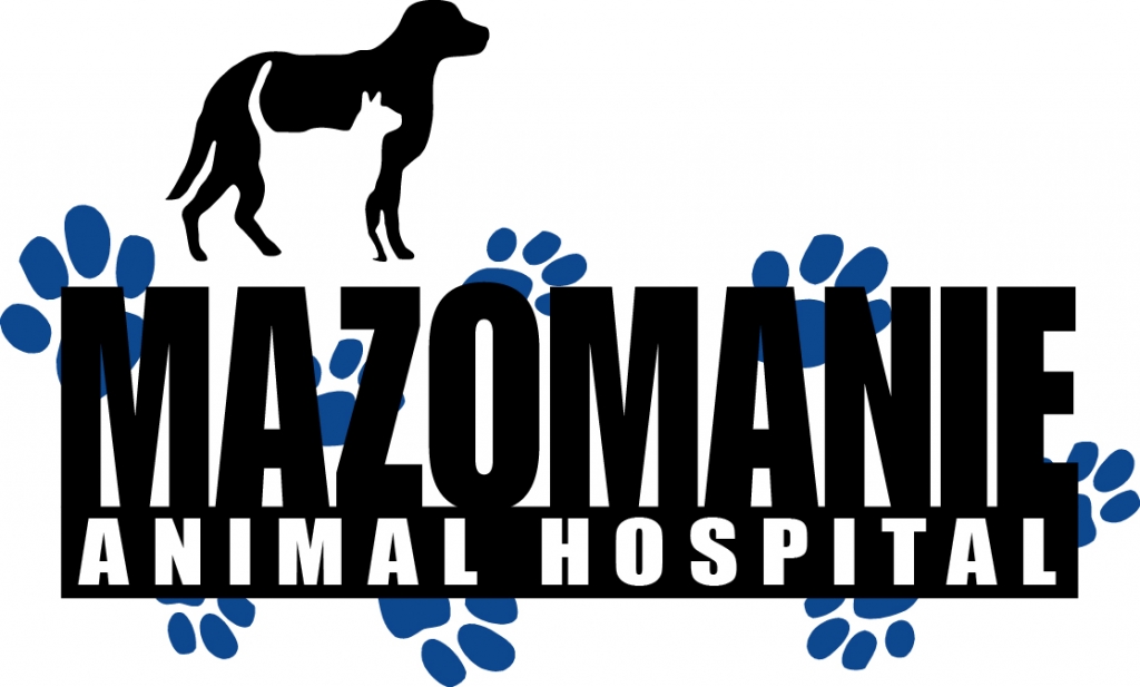 Mazomanie Animal Hospital