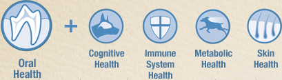 greenies dental chart