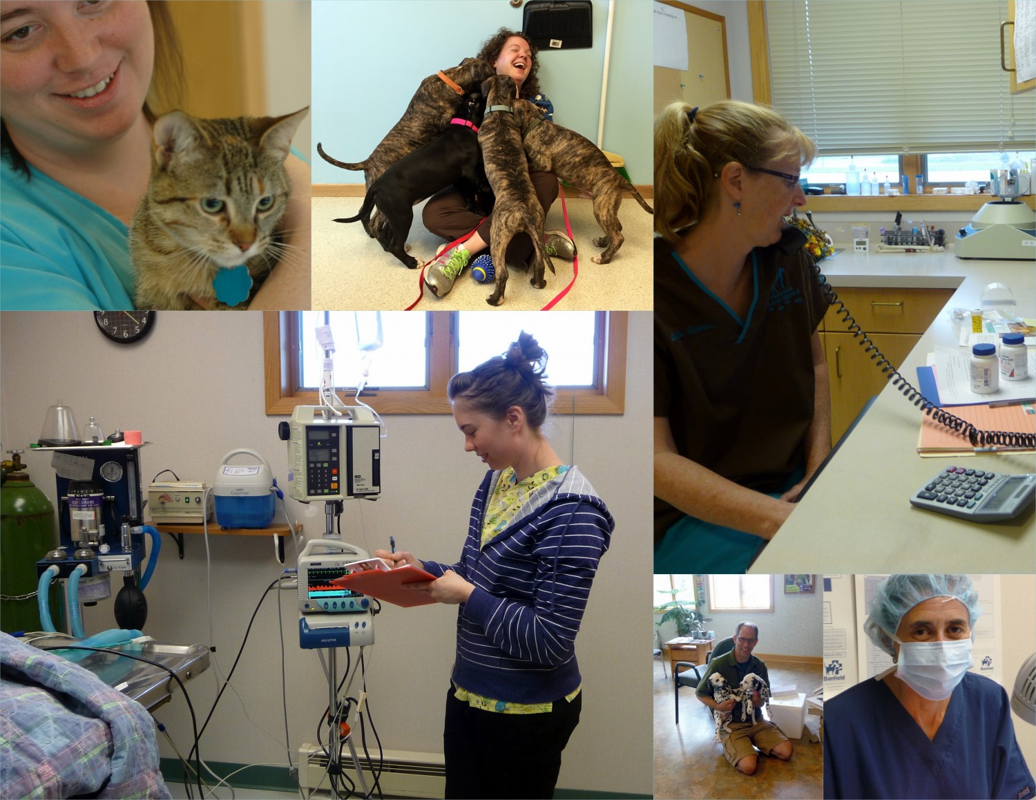 staff and pets collage
