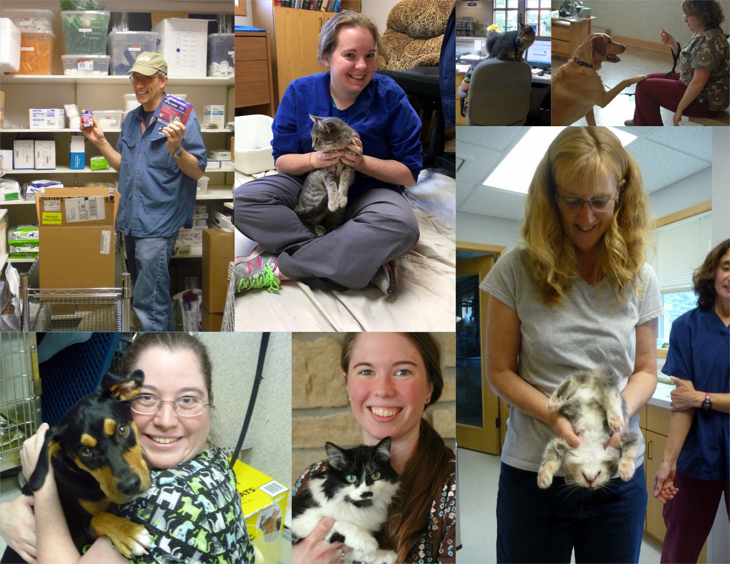 staff and pets collage