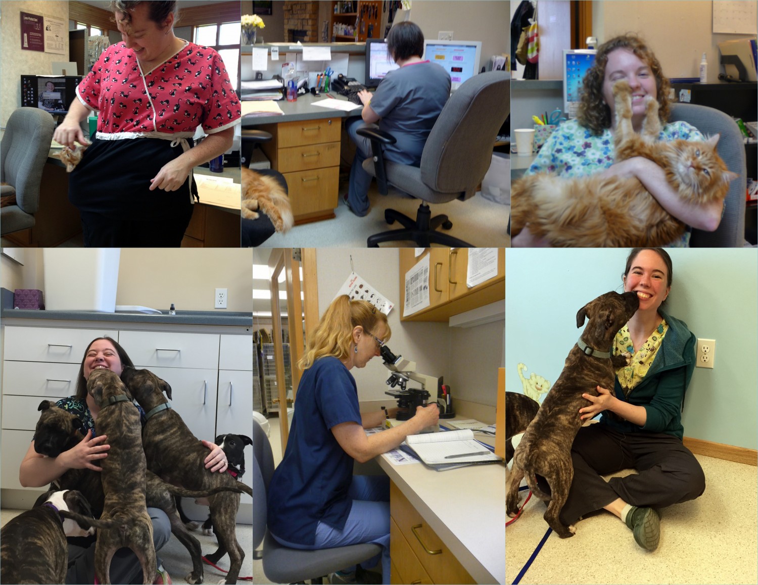 staff and pets collage